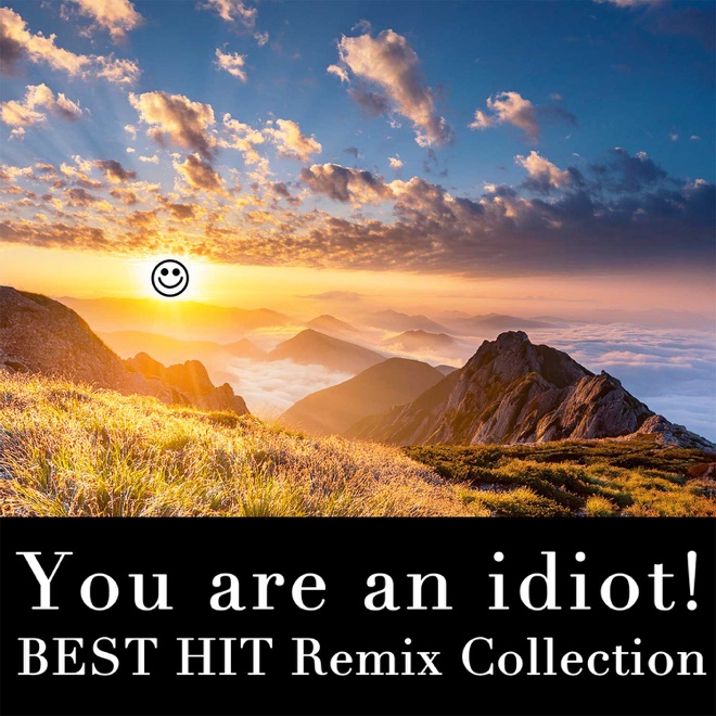 You are an idiot! BEST HIT Remix Collection Vol.1 cover art