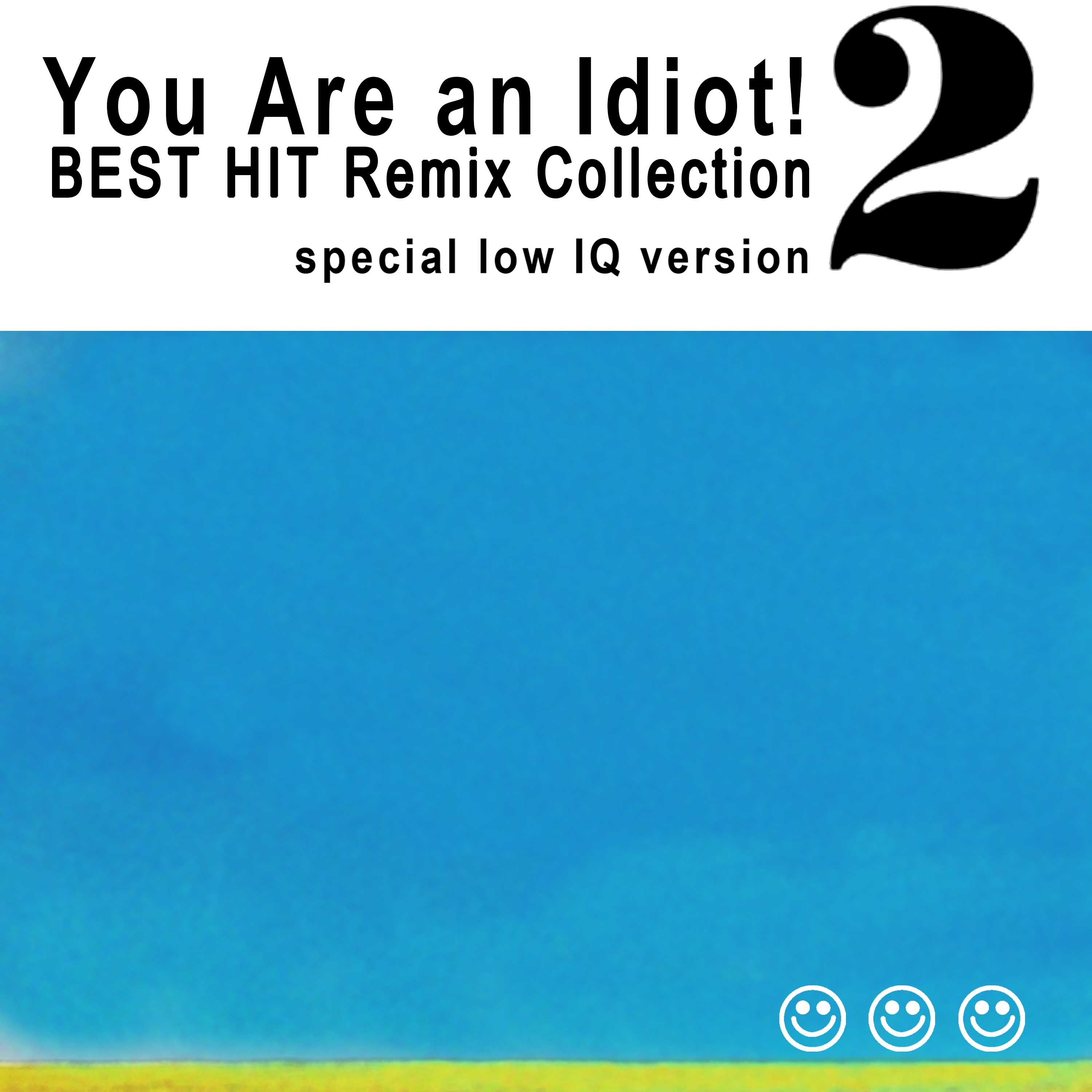 You are an idiot! BEST HIT Remix Collection Vol.2 cover art